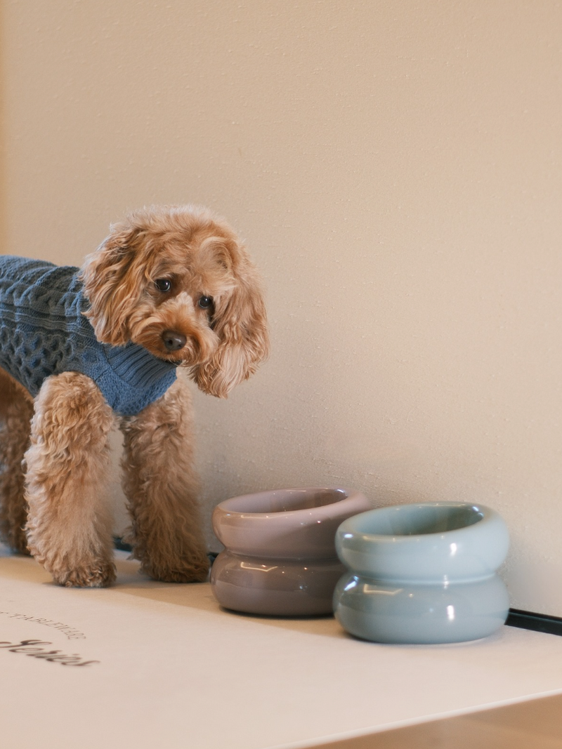 Soufflé Pet Bowl - Frozen Blue