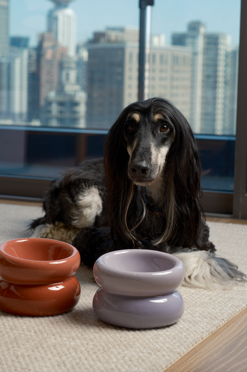 Soufflé Pet Bowl - Purple