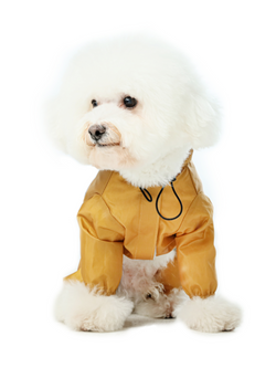 Ultralight Full covered hooded waterproof dog jacket - Yellow