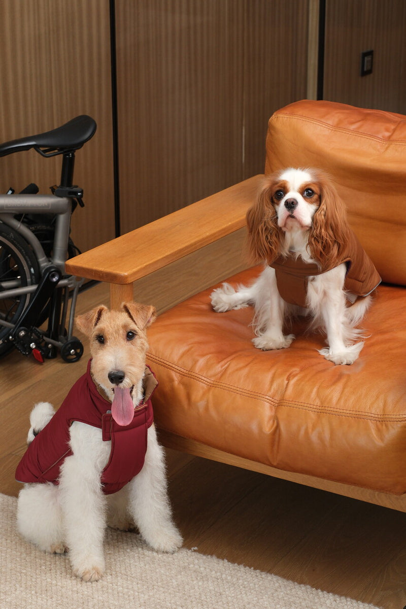 Reversible Dog Vest Jacket -  Red Brown