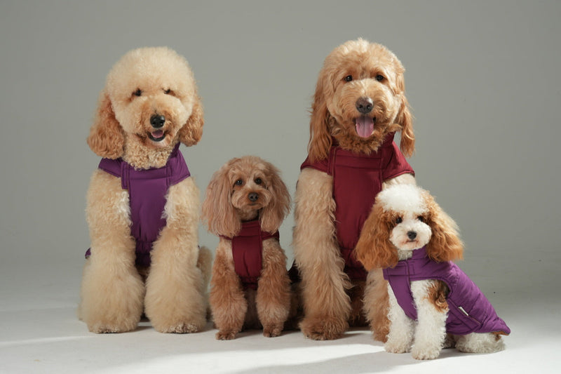 Reversible Dog Vest Jacket -  Red Brown