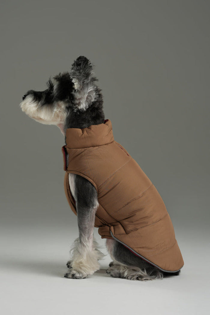 PEHOM｜REVERSIBLE DOG VEST JACKET - Red Brown – pehomnyc