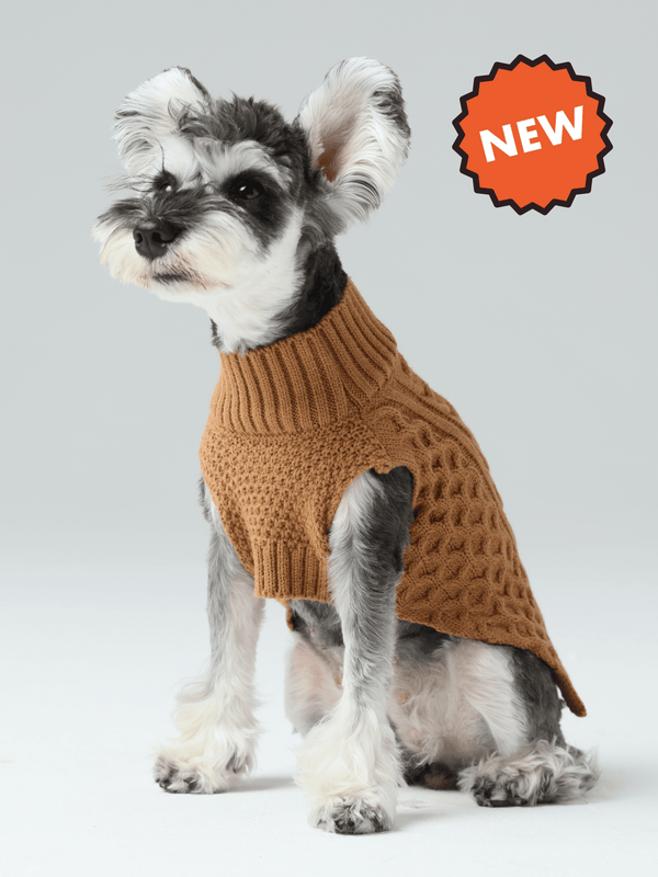 Pet Sweater Vest - Toffee Orange