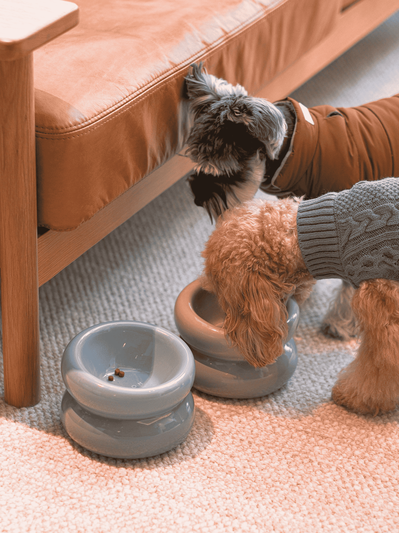 Soufflé Pet Bowl - Frozen Blue