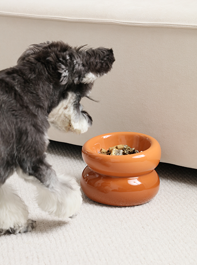 Anti gulping online dog water bowl