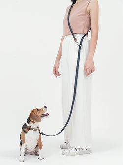 Minimalist Dog Accessories From Boo Oh