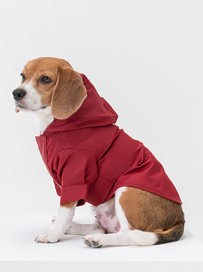 Tribeca adjustable velcro raincoat -  Burgundy