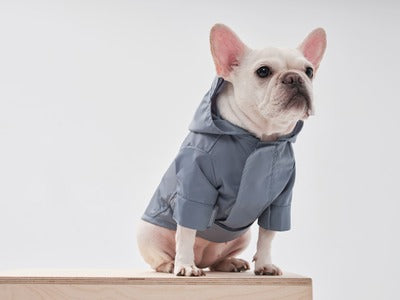 PEHOM｜TRIBECA ADJUSTABLE VELCRO RAINCOAT - LIGHT BLUE – pehomnyc